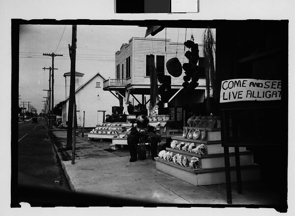 [Five 35mm Film Frames on Uncut Roll of Roadside Stand Selling Shells and Advertising Live Alligators, Tarpon Springs, Florida], Walker Evans (American, St. Louis, Missouri 1903–1975 New Haven, Connecticut), Film negative 