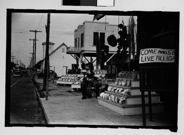 [Five 35mm Film Frames on Uncut Roll of Roadside Stand Selling Shells and Advertising Live Alligators, Tarpon Springs, Florida], Walker Evans (American, St. Louis, Missouri 1903–1975 New Haven, Connecticut), Film negative