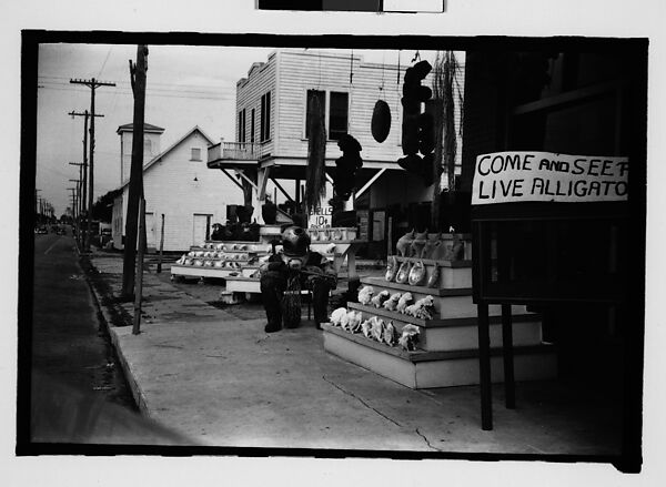 [Five 35mm Film Frames on Uncut Roll of Roadside Stand Selling Shells and Advertising Live Alligators, Tarpon Springs, Florida], Walker Evans (American, St. Louis, Missouri 1903–1975 New Haven, Connecticut), Film negative
