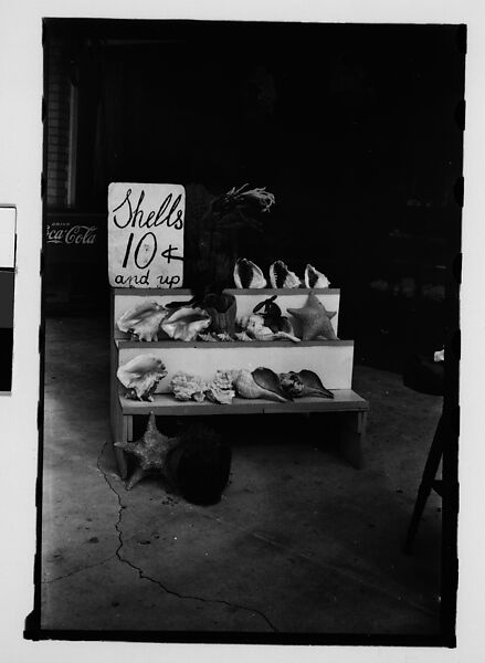 [Five 35mm Film Frames on Uncut Roll of Roadside Stand Selling Shells and Advertising Live Alligators, Tarpon Springs, Florida], Walker Evans (American, St. Louis, Missouri 1903–1975 New Haven, Connecticut), Film negative