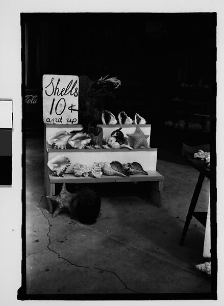[Five 35mm Film Frames on Uncut Roll of Roadside Stand Selling Shells and Advertising Live Alligators, Tarpon Springs, Florida], Walker Evans (American, St. Louis, Missouri 1903–1975 New Haven, Connecticut), Film negative