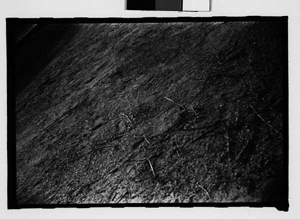 [Twenty-Eight 35mm Film Frames on Uncut Roll: 28 Studies of Ringling Circus Elephants in Winter Quarters, Sarasota, Florida], Walker Evans (American, St. Louis, Missouri 1903–1975 New Haven, Connecticut), Film negative