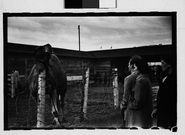 [Twenty-Nine 35mm Film Frames on Uncut Roll: Ringling Brothers Circus, Sarasota, Florida], Walker Evans (American, St. Louis, Missouri 1903–1975 New Haven, Connecticut), Film negative