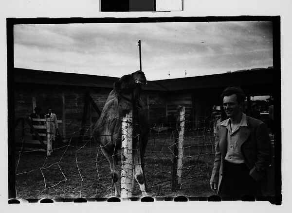 [Twenty-Nine 35mm Film Frames on Uncut Roll: Ringling Brothers Circus, Sarasota, Florida], Walker Evans (American, St. Louis, Missouri 1903–1975 New Haven, Connecticut), Film negative