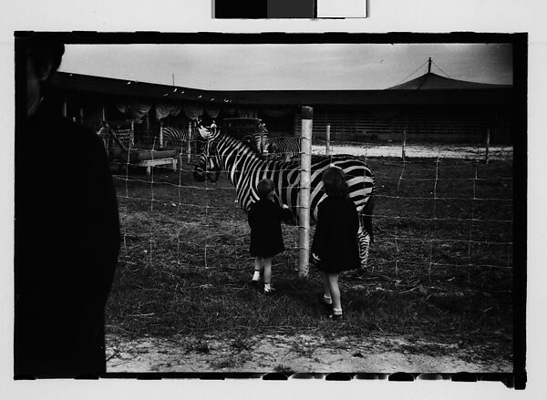 [Twenty-Nine 35mm Film Frames on Uncut Roll: Ringling Brothers Circus, Sarasota, Florida], Walker Evans (American, St. Louis, Missouri 1903–1975 New Haven, Connecticut), Film negative