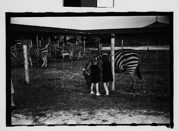 [Twenty-Nine 35mm Film Frames on Uncut Roll: Ringling Brothers Circus, Sarasota, Florida], Walker Evans (American, St. Louis, Missouri 1903–1975 New Haven, Connecticut), Film negative