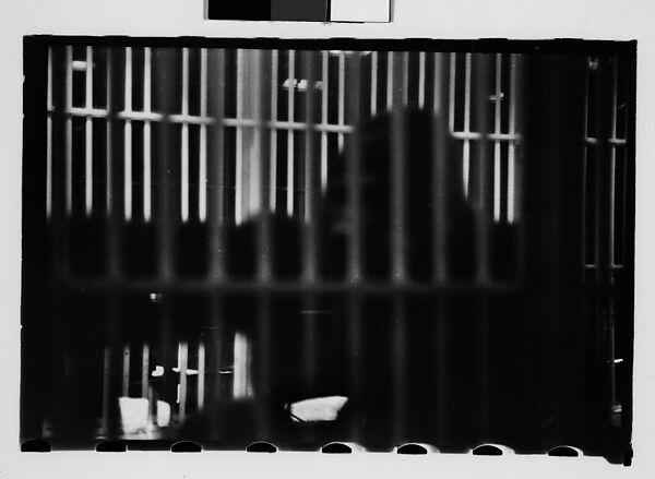 [Twenty-Nine 35mm Film Frames on Uncut Roll: Ringling Brothers Circus, Sarasota, Florida], Walker Evans (American, St. Louis, Missouri 1903–1975 New Haven, Connecticut), Film negative