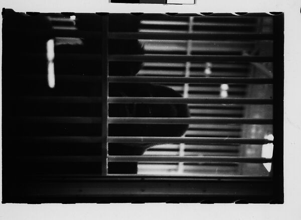[Twenty-Nine 35mm Film Frames on Uncut Roll: Ringling Brothers Circus, Sarasota, Florida], Walker Evans (American, St. Louis, Missouri 1903–1975 New Haven, Connecticut), Film negative