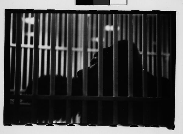 [Twenty-Nine 35mm Film Frames on Uncut Roll: Ringling Brothers Circus, Sarasota, Florida], Walker Evans (American, St. Louis, Missouri 1903–1975 New Haven, Connecticut), Film negative