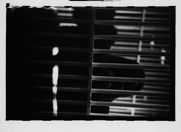 [Twenty-Nine 35mm Film Frames on Uncut Roll: Ringling Brothers Circus, Sarasota, Florida], Walker Evans (American, St. Louis, Missouri 1903–1975 New Haven, Connecticut), Film negative