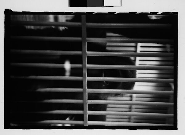 [Twenty-Nine 35mm Film Frames on Uncut Roll: Ringling Brothers Circus, Sarasota, Florida], Walker Evans (American, St. Louis, Missouri 1903–1975 New Haven, Connecticut), Film negative