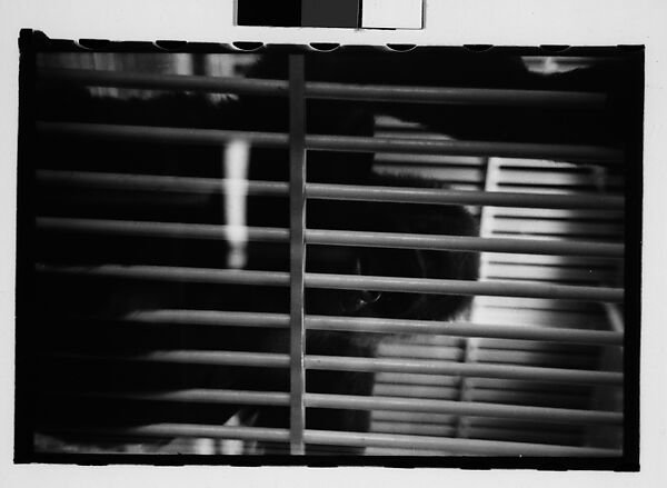[Twenty-Nine 35mm Film Frames on Uncut Roll: Ringling Brothers Circus, Sarasota, Florida], Walker Evans (American, St. Louis, Missouri 1903–1975 New Haven, Connecticut), Film negative