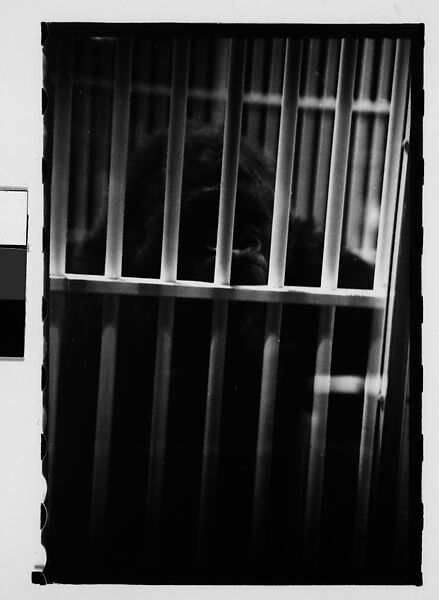[Twenty-Nine 35mm Film Frames on Uncut Roll: Ringling Brothers Circus, Sarasota, Florida], Walker Evans (American, St. Louis, Missouri 1903–1975 New Haven, Connecticut), Film negative