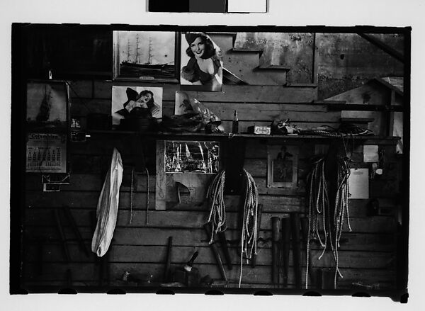 [Thirty-One 35mm Film Frames on Uncut Roll: 4 Views of Circus Storehouse Interior and 24 Studies of Elephants in Ringling Brothers Circus Winter Quarters, Sarasota, Florida, and 3 Test Frames], Walker Evans (American, St. Louis, Missouri 1903–1975 New Haven, Connecticut), Film negative 