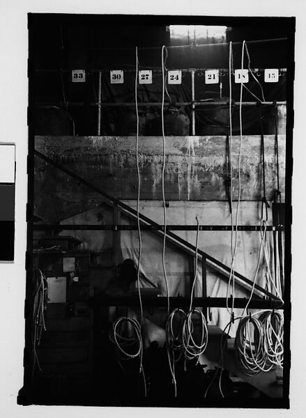 [Thirty-One 35mm Film Frames on Uncut Roll: 4 Views of Circus Storehouse Interior and 24 Studies of Elephants in Ringling Brothers Circus Winter Quarters, Sarasota, Florida, and 3 Test Frames], Walker Evans (American, St. Louis, Missouri 1903–1975 New Haven, Connecticut), Film negative