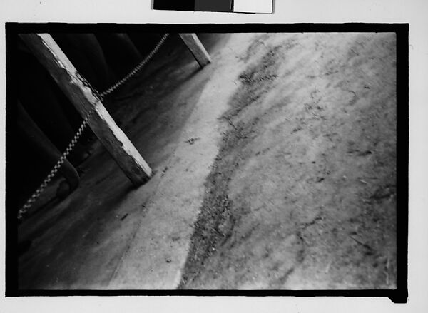 [Thirty-One 35mm Film Frames on Uncut Roll: 4 Views of Circus Storehouse Interior and 24 Studies of Elephants in Ringling Brothers Circus Winter Quarters, Sarasota, Florida, and 3 Test Frames], Walker Evans (American, St. Louis, Missouri 1903–1975 New Haven, Connecticut), Film negative