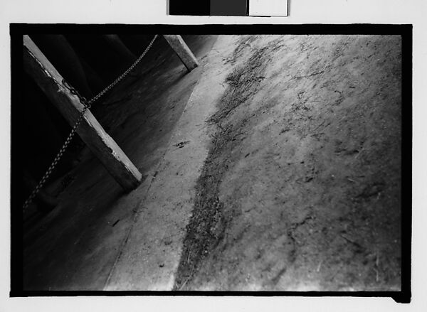 [Thirty-One 35mm Film Frames on Uncut Roll: 4 Views of Circus Storehouse Interior and 24 Studies of Elephants in Ringling Brothers Circus Winter Quarters, Sarasota, Florida, and 3 Test Frames], Walker Evans (American, St. Louis, Missouri 1903–1975 New Haven, Connecticut), Film negative