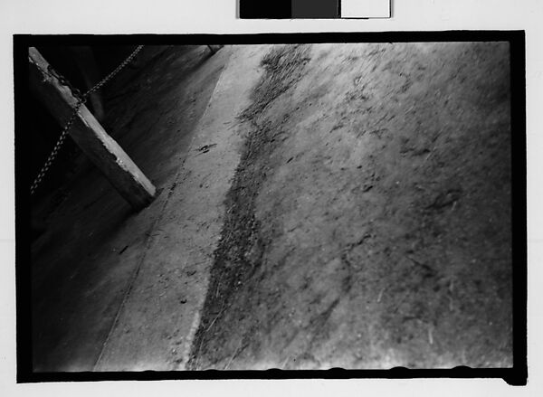 [Thirty-One 35mm Film Frames on Uncut Roll: 4 Views of Circus Storehouse Interior and 24 Studies of Elephants in Ringling Brothers Circus Winter Quarters, Sarasota, Florida, and 3 Test Frames], Walker Evans (American, St. Louis, Missouri 1903–1975 New Haven, Connecticut), Film negative