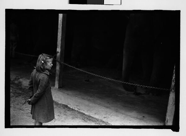[Thirty-One 35mm Film Frames on Uncut Roll: 4 Views of Circus Storehouse Interior and 24 Studies of Elephants in Ringling Brothers Circus Winter Quarters, Sarasota, Florida, and 3 Test Frames], Walker Evans (American, St. Louis, Missouri 1903–1975 New Haven, Connecticut), Film negative