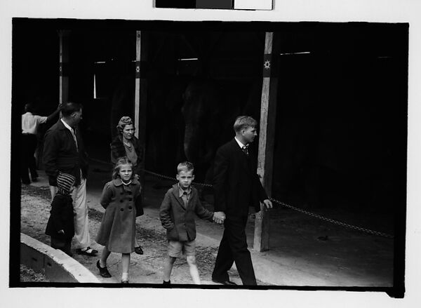 [Thirty-One 35mm Film Frames on Uncut Roll: 4 Views of Circus Storehouse Interior and 24 Studies of Elephants in Ringling Brothers Circus Winter Quarters, Sarasota, Florida, and 3 Test Frames], Walker Evans (American, St. Louis, Missouri 1903–1975 New Haven, Connecticut), Film negative
