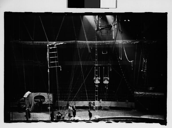 [Thirty-Four 35mm Film Frames on Uncut Roll of a Circus Performing at the Arena at Madison Square Garden, New York City, Including Trapeze and Animal Acts], Walker Evans (American, St. Louis, Missouri 1903–1975 New Haven, Connecticut), Film negative