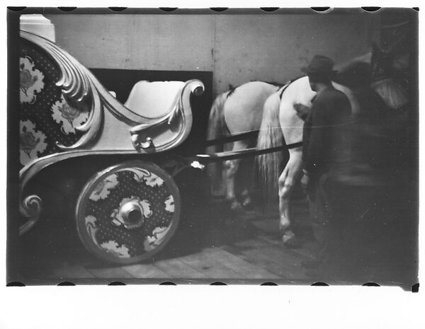 [Thirty-Seven 35mm Film Frames on Uncut Roll of a Circus at Madison Square Garden, New York City, Including Performers and Stage Crew During Rehearsal and Set-Up, and Prop Studies], Walker Evans (American, St. Louis, Missouri 1903–1975 New Haven, Connecticut), Film negative