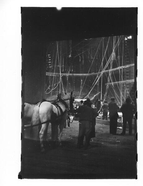 [Thirty-Seven 35mm Film Frames on Uncut Roll of a Circus at Madison Square Garden, New York City, Including Performers and Stage Crew During Rehearsal and Set-Up, and Prop Studies], Walker Evans (American, St. Louis, Missouri 1903–1975 New Haven, Connecticut), Film negative