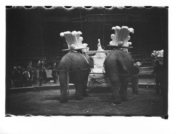 [Thirty-Seven 35mm Film Frames on Uncut Roll of a Circus at Madison Square Garden, New York City, Including Performers and Stage Crew During Rehearsal and Set-Up, and Prop Studies], Walker Evans (American, St. Louis, Missouri 1903–1975 New Haven, Connecticut), Film negative