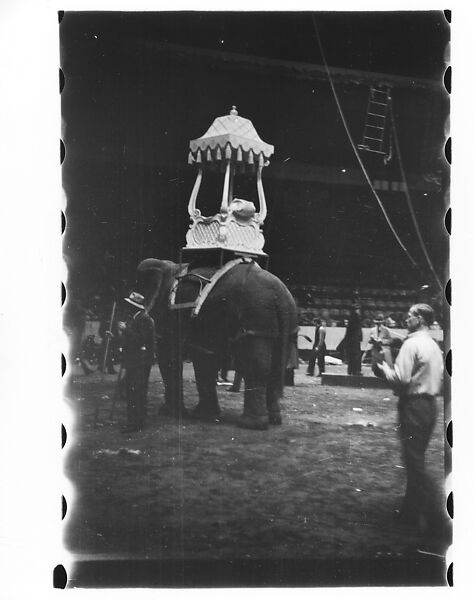 [Thirty-Seven 35mm Film Frames on Uncut Roll of a Circus at Madison Square Garden, New York City, Including Performers and Stage Crew During Rehearsal and Set-Up, and Prop Studies], Walker Evans (American, St. Louis, Missouri 1903–1975 New Haven, Connecticut), Film negative
