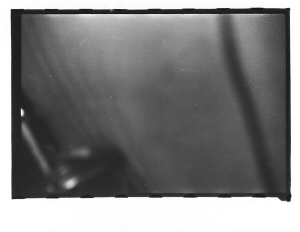 [Twenty-Three 35mm Film Frames on Uncut Roll: 19 Underwater Studies of Fish and Turtles, and 4 Test Frames], Walker Evans (American, St. Louis, Missouri 1903–1975 New Haven, Connecticut), Film negative