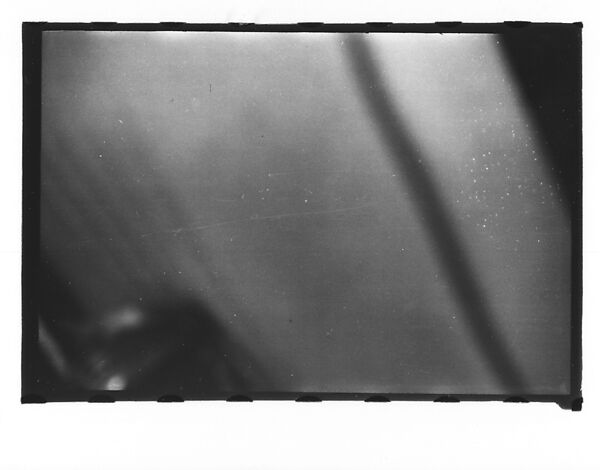 [Twenty-Three 35mm Film Frames on Uncut Roll: 19 Underwater Studies of Fish and Turtles, and 4 Test Frames], Walker Evans (American, St. Louis, Missouri 1903–1975 New Haven, Connecticut), Film negative