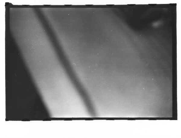 [Twenty-Three 35mm Film Frames on Uncut Roll: 19 Underwater Studies of Fish and Turtles, and 4 Test Frames], Walker Evans (American, St. Louis, Missouri 1903–1975 New Haven, Connecticut), Film negative