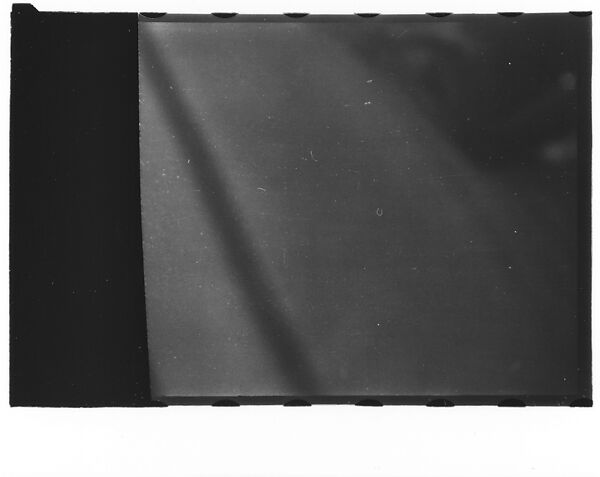 [Twenty-Three 35mm Film Frames on Uncut Roll: 19 Underwater Studies of Fish and Turtles, and 4 Test Frames], Walker Evans (American, St. Louis, Missouri 1903–1975 New Haven, Connecticut), Film negative