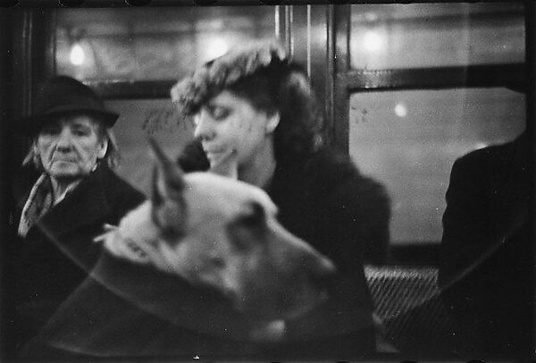 [Five 35mm Film Frames: Subway Passengers, New York City:  Man in Hat and Scarf, Elderly Woman, Woman in Flower-Brim Hat with Dog], Walker Evans (American, St. Louis, Missouri 1903–1975 New Haven, Connecticut), Film negative