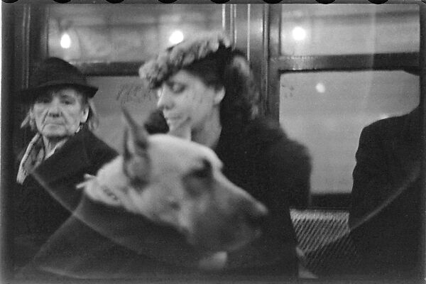 [Five 35mm Film Frames: Subway Passengers, New York City:  Man in Hat and Scarf, Elderly Woman, Woman in Flower-Brim Hat with Dog], Walker Evans (American, St. Louis, Missouri 1903–1975 New Haven, Connecticut), Film negative