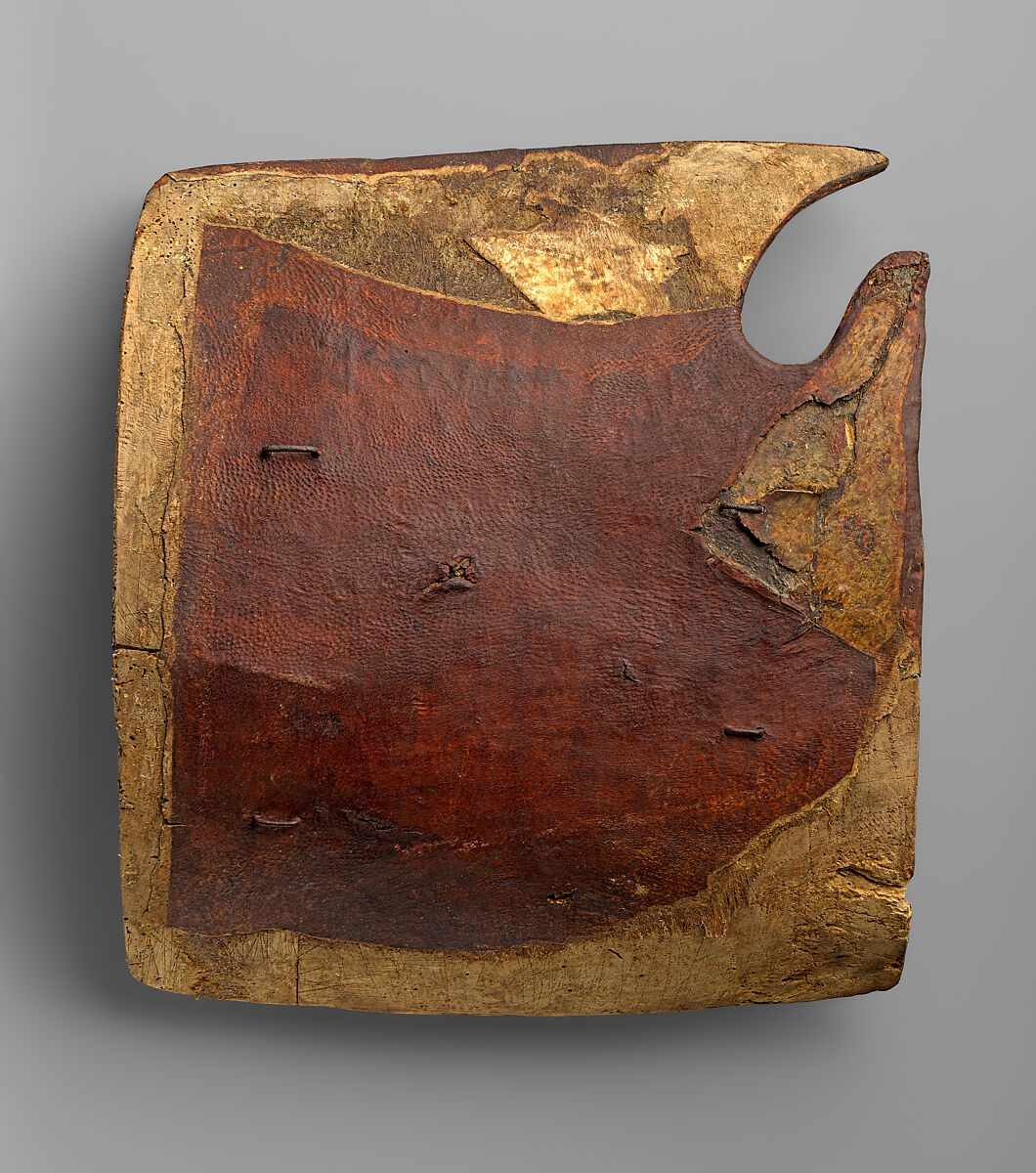 Shield for the Field or Tournament (Targe), Wood, canvas, leather, gesso, silver, polychromy, iron, German