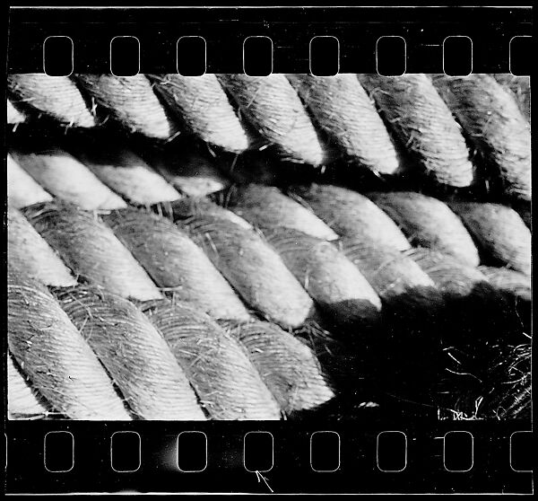 [One 35mm Film Frame: Rope], Walker Evans (American, St. Louis, Missouri 1903–1975 New Haven, Connecticut), Film negative