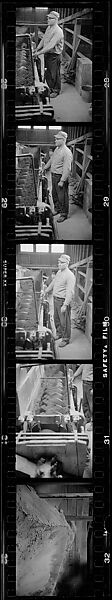[317 Views and Studies of Ohio Clay Plants, Factory Interiors, Machinery, and Workers, Commissioned by Fortune Magazine for "Clay: The Commonest Industrial Raw Material", Published January 1951], Walker Evans (American, St. Louis, Missouri 1903–1975 New Haven, Connecticut), Film negative