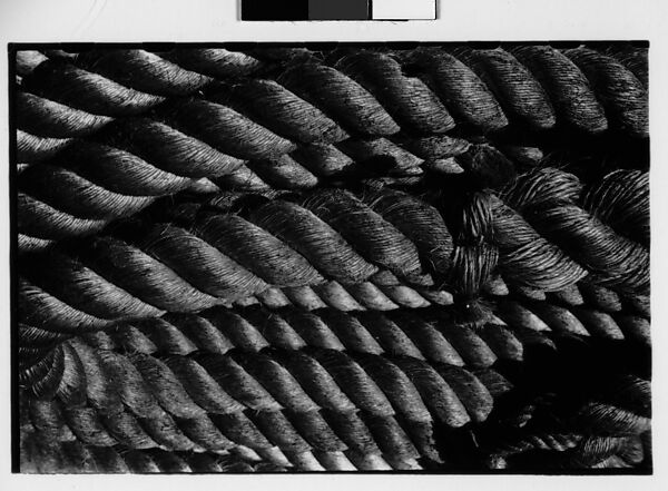 [Two 35mm Film Frames: Rope], Walker Evans (American, St. Louis, Missouri 1903–1975 New Haven, Connecticut), Film negative