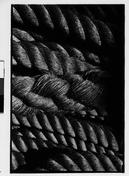 [Two 35mm Film Frames: Rope], Walker Evans (American, St. Louis, Missouri 1903–1975 New Haven, Connecticut), Film negative 