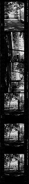 [252 Views and Studies of Harbor Point Club, Harbor Springs, Michigan, Commissioned by Fortune Magazine for "Summer at Harbor Point", Published July 1960], Walker Evans (American, St. Louis, Missouri 1903–1975 New Haven, Connecticut), Film negative