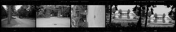 [252 Views and Studies of Harbor Point Club, Harbor Springs, Michigan, Commissioned by Fortune Magazine for "Summer at Harbor Point", Published July 1960], Walker Evans (American, St. Louis, Missouri 1903–1975 New Haven, Connecticut), Film negative