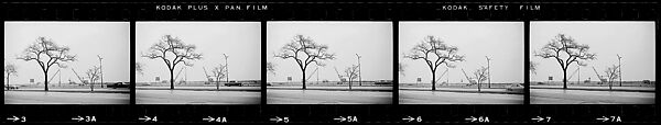 [854 Views of Container Corporation and Bethelehem Steel Industrial Architecture, Chicago Rail Yards, Architecture and Street Scenes, Galena Train Depot and Baggage Wagons, Pittsburgh and Pennsylvania Towns], Walker Evans (American, St. Louis, Missouri 1903–1975 New Haven, Connecticut), Film negative