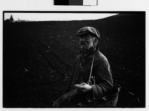 [Two 35mm Film Frames: Farmer in Field, Copake, New York], Walker Evans (American, St. Louis, Missouri 1903–1975 New Haven, Connecticut), Film negative 