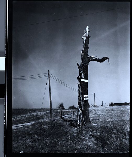 [343 Views and Studies of Chicago Architecture, Streets, and Pedestrians, For Fortune Article "Chicago: A Camera Exploration" Published February 1947], Walker Evans (American, St. Louis, Missouri 1903–1975 New Haven, Connecticut), Film negative