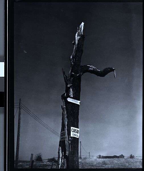 [343 Views and Studies of Chicago Architecture, Streets, and Pedestrians, For Fortune Article "Chicago: A Camera Exploration" Published February 1947], Walker Evans (American, St. Louis, Missouri 1903–1975 New Haven, Connecticut), Film negative