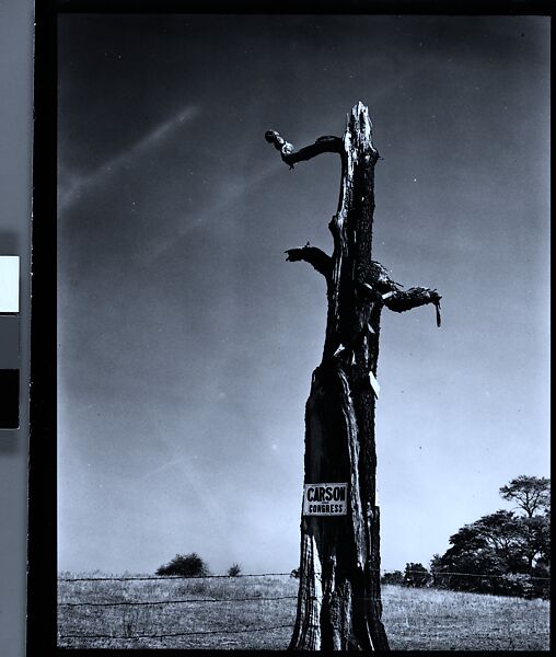 [343 Views and Studies of Chicago Architecture, Streets, and Pedestrians, For Fortune Article "Chicago: A Camera Exploration" Published February 1947], Walker Evans (American, St. Louis, Missouri 1903–1975 New Haven, Connecticut), Film negative
