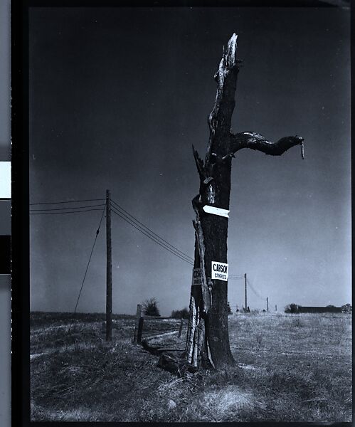 [343 Views and Studies of Chicago Architecture, Streets, and Pedestrians, For Fortune Article "Chicago: A Camera Exploration" Published February 1947], Walker Evans (American, St. Louis, Missouri 1903–1975 New Haven, Connecticut), Film negative