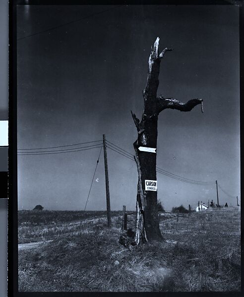 [343 Views and Studies of Chicago Architecture, Streets, and Pedestrians, For Fortune Article "Chicago: A Camera Exploration" Published February 1947], Walker Evans (American, St. Louis, Missouri 1903–1975 New Haven, Connecticut), Film negative