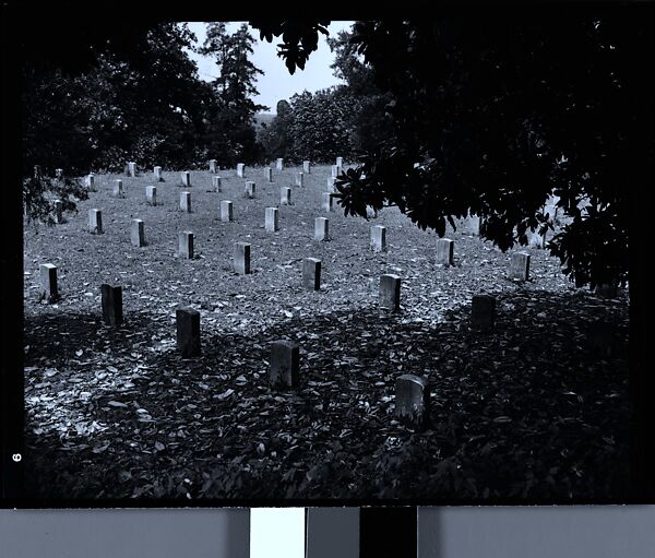 [144 Views of Mississippi Farmlands, Towns, Cemeteries, and Residential and Commercial Architecture, Commissioned by Vogue Magazine for the Article "Faulkner's Mississippi"], Walker Evans (American, St. Louis, Missouri 1903–1975 New Haven, Connecticut), Film negative